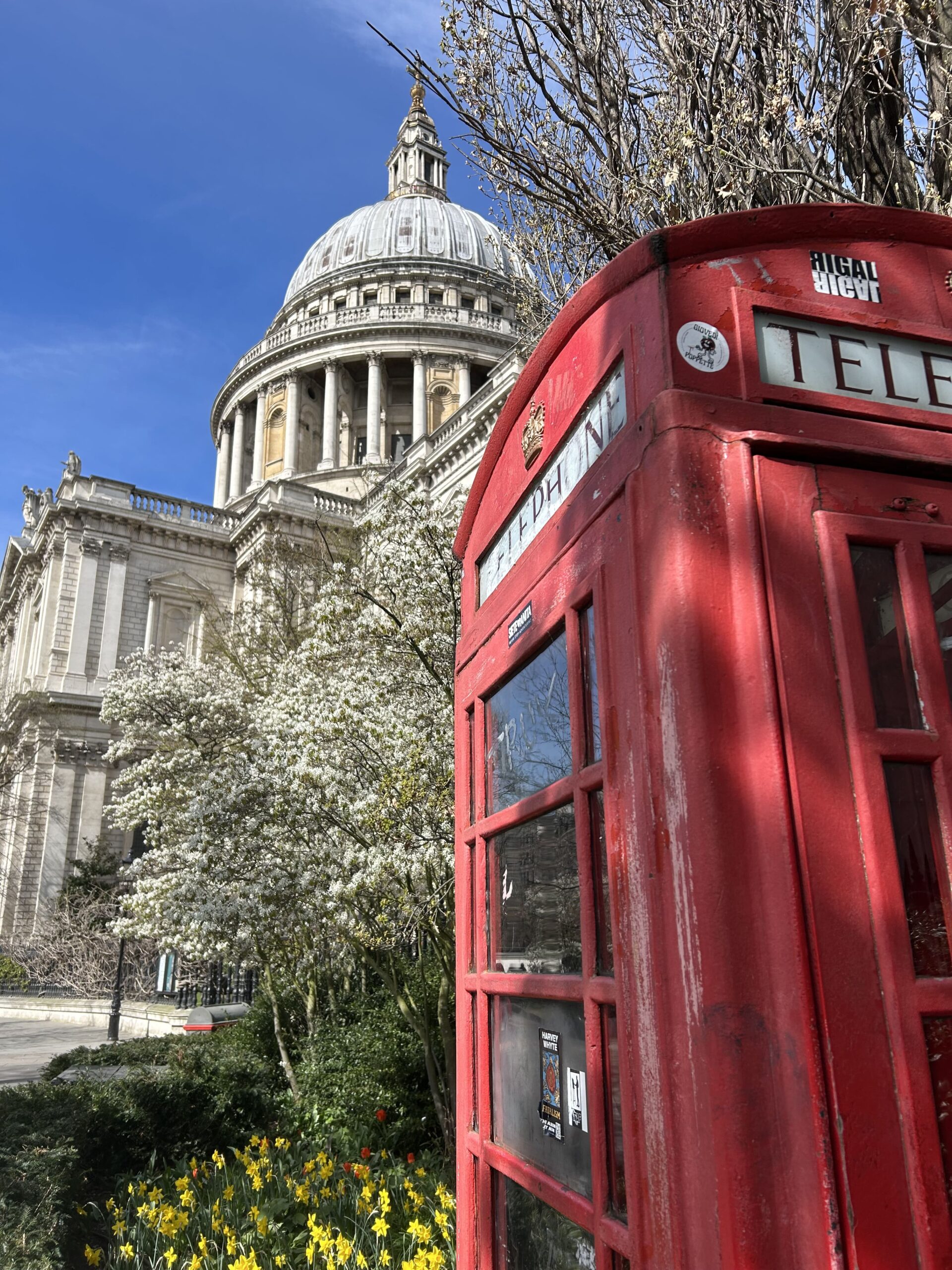 organisation-de-voyage-sur-mesure