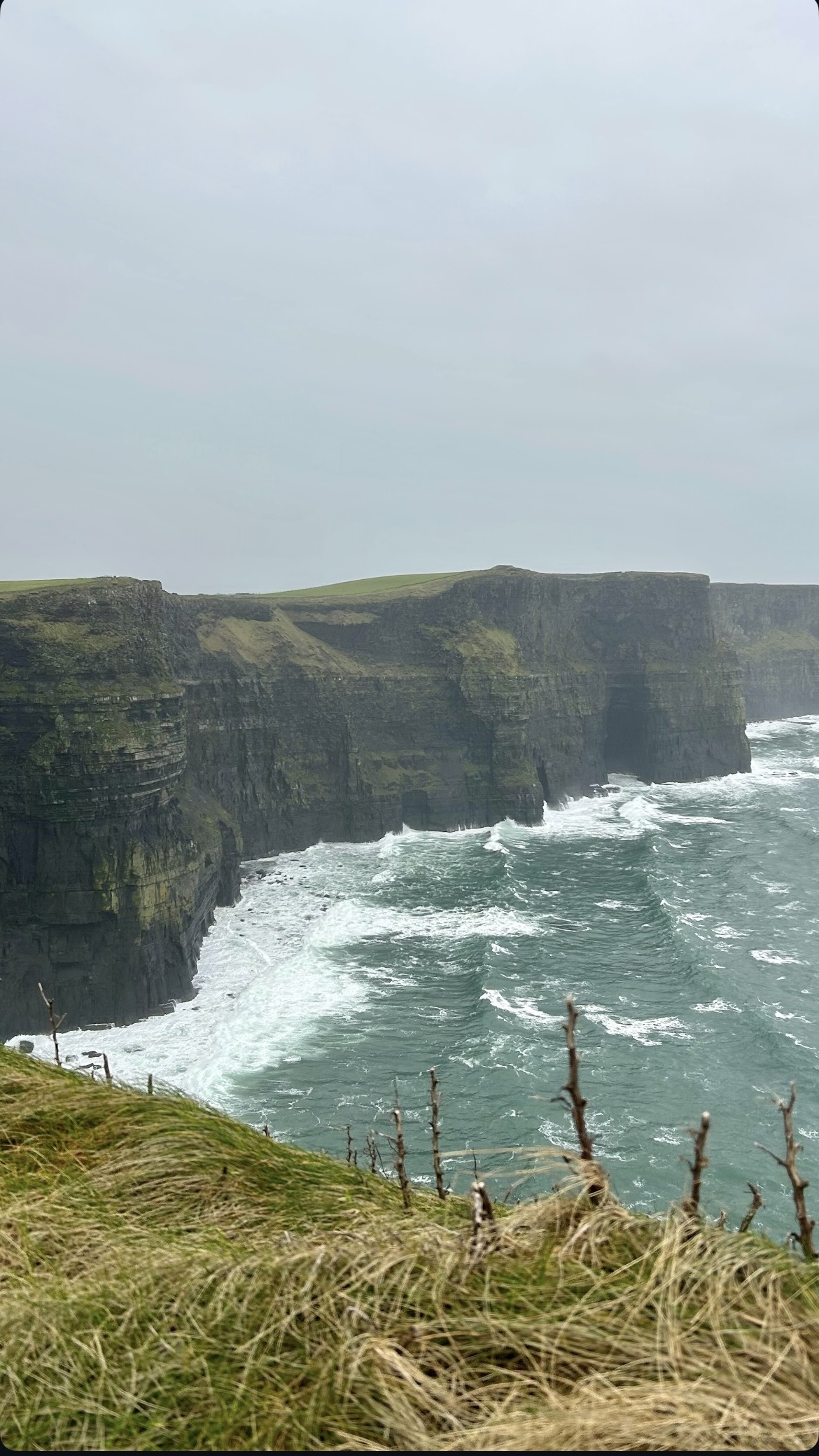 organisatrice-de-voyage-sur-mesure-falaise-de-moher