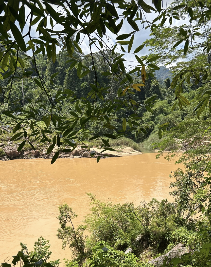 circuit-malaisie-15-jours-taman-negara