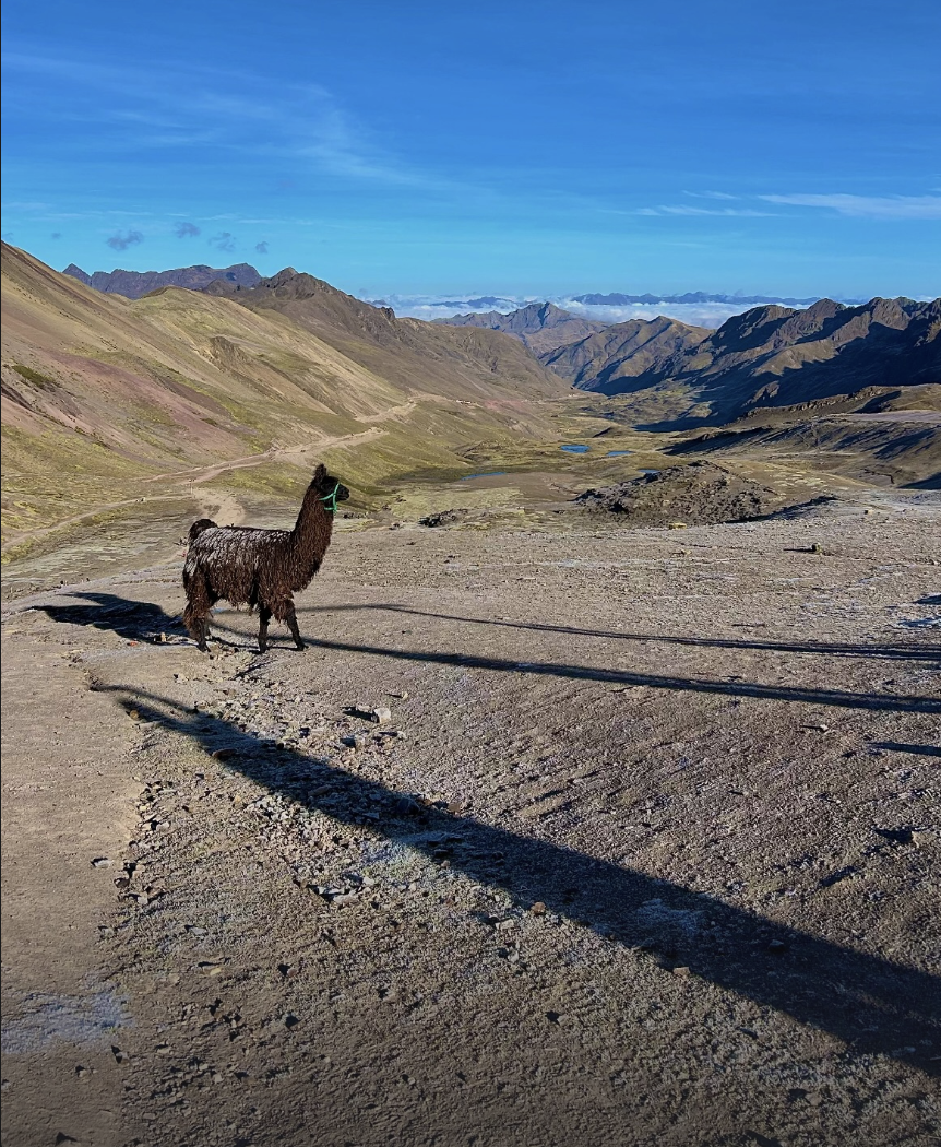 blog-voyage-pérou-cusco