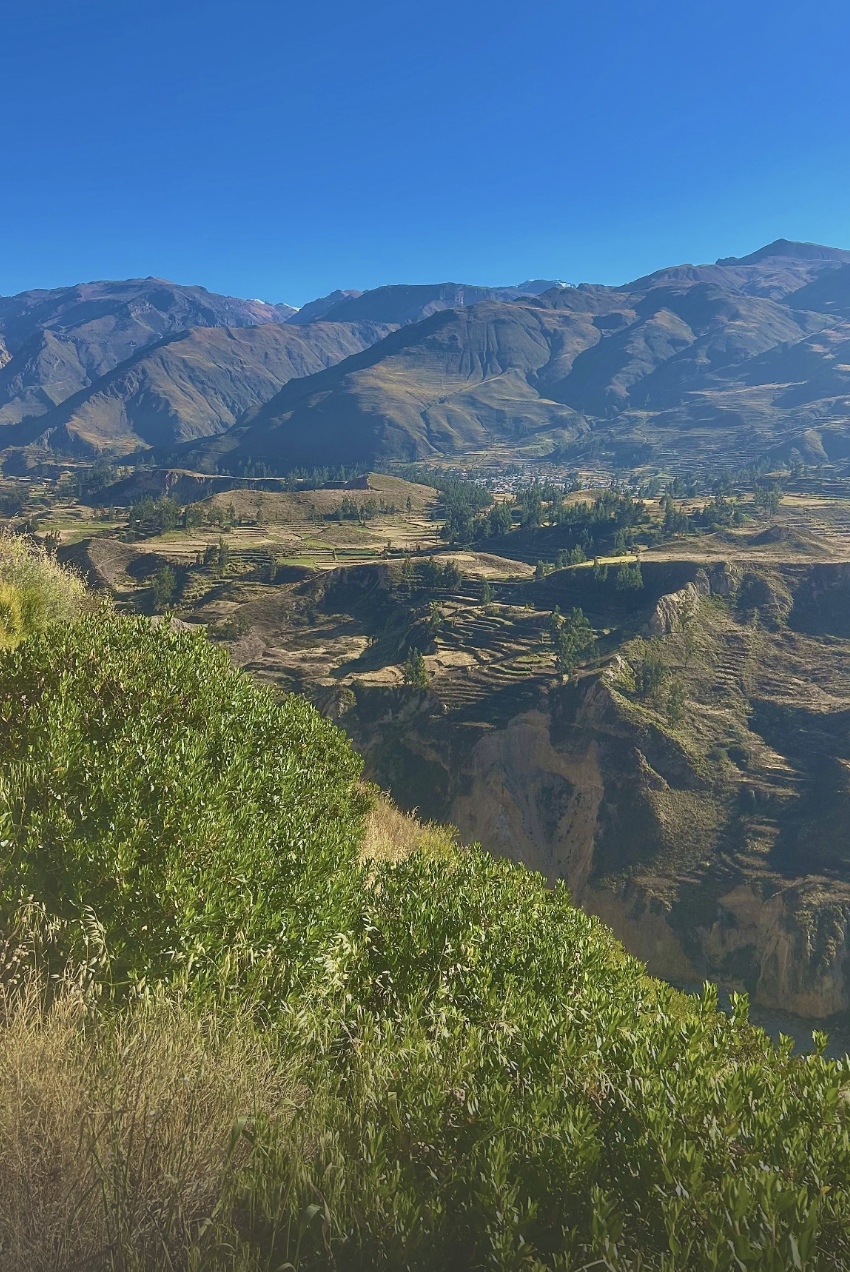 blog-voyage-pérou-canyon-de-colca