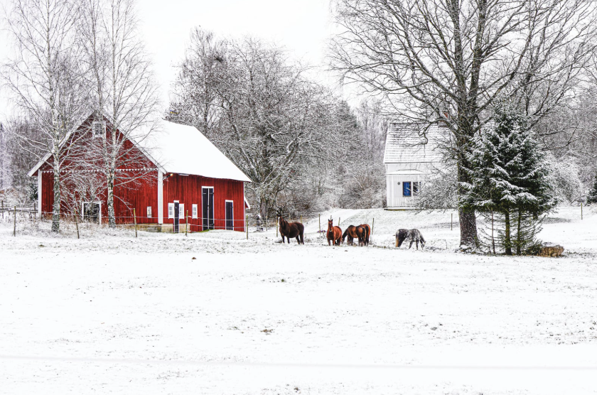 road-trip-suede-hiver