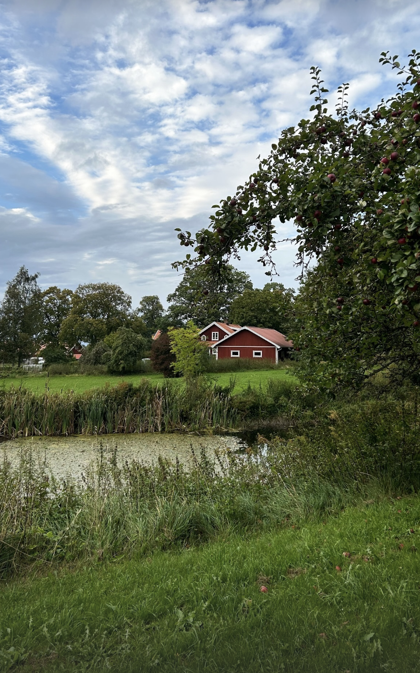 road-trip-suede-falkoping