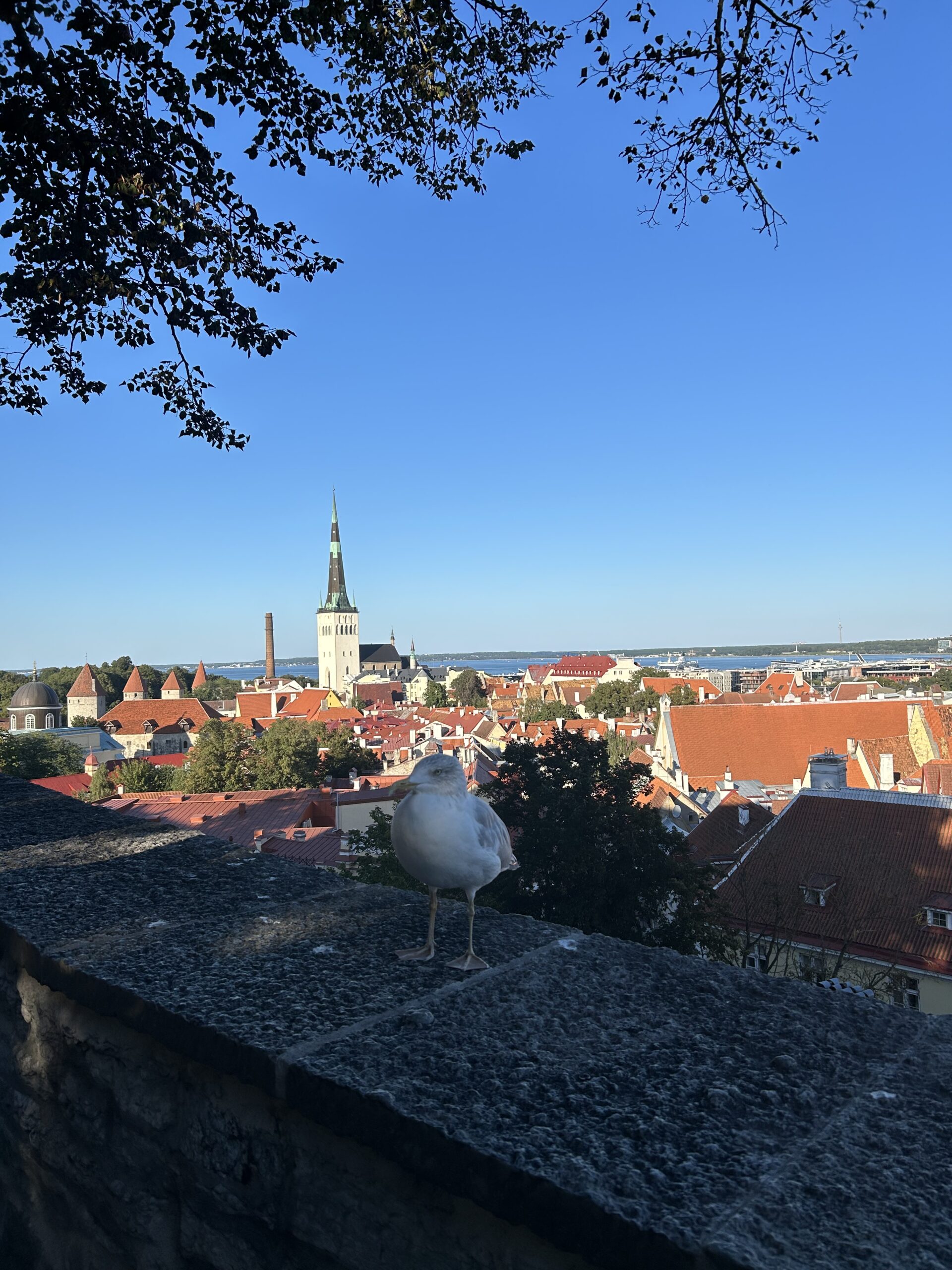 voyage-pays-baltes-tallinn