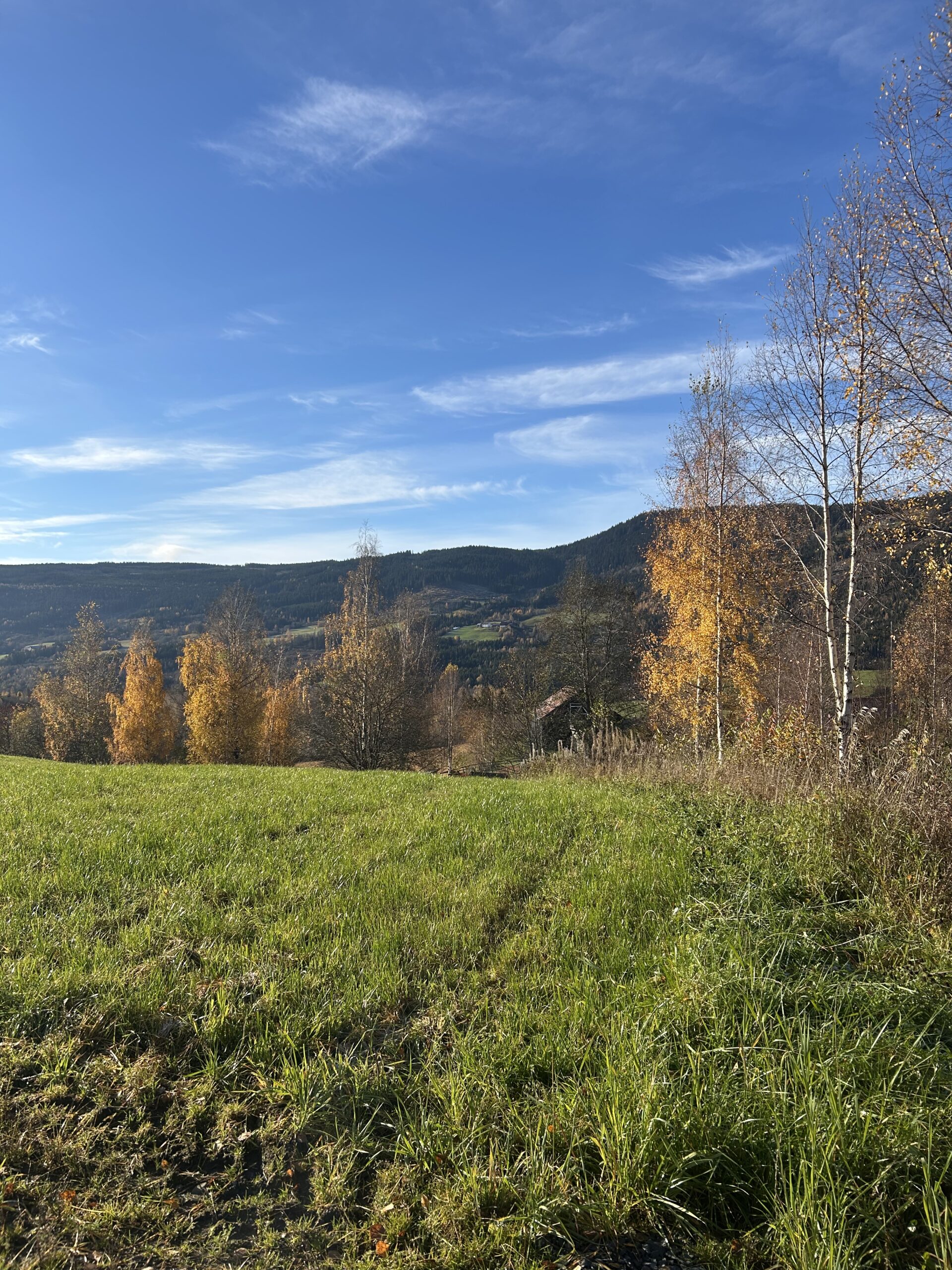 voyage-en-norvège-nature