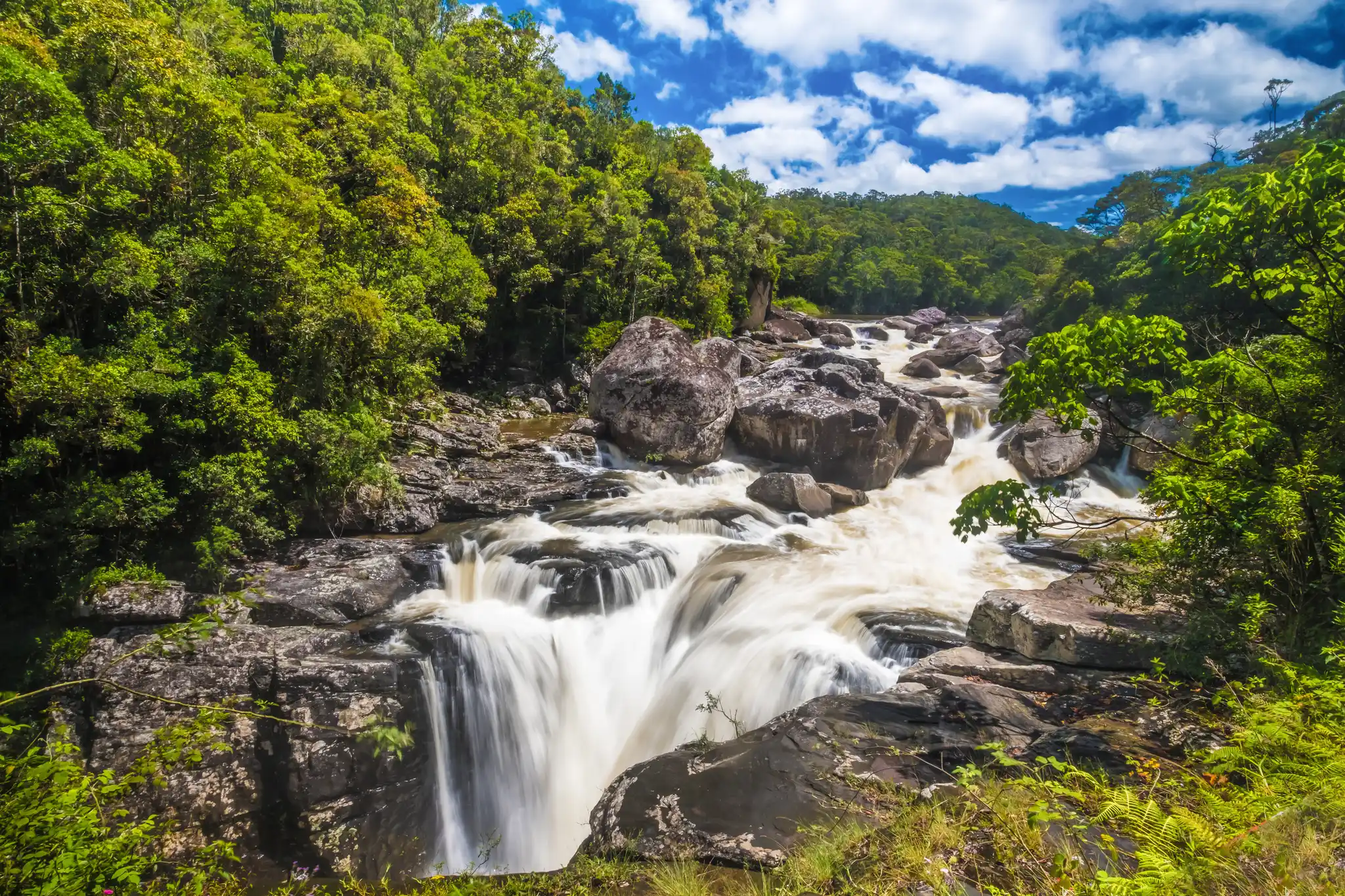 voyage-à-madagascar-Ranomafana