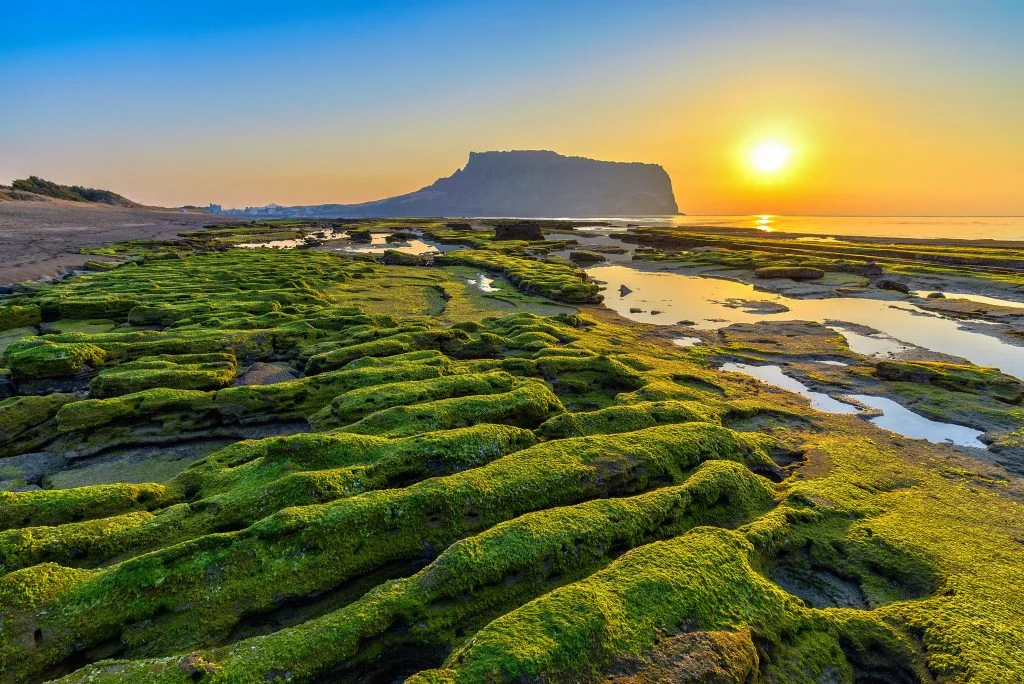 voyage-en-corée-du-sud-île-de-jeju