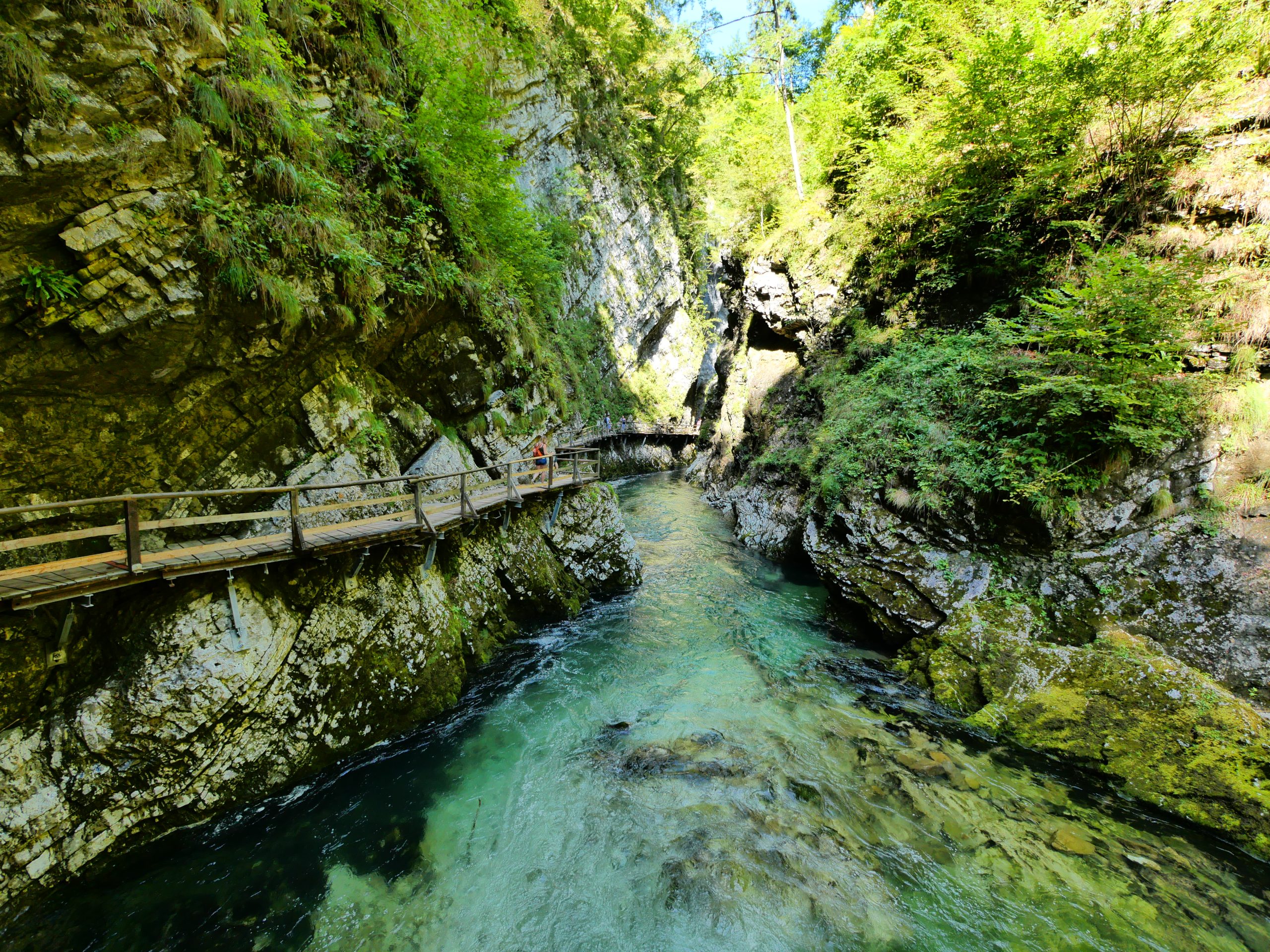 voyage-en-slovenie-gorges-de-vintgar