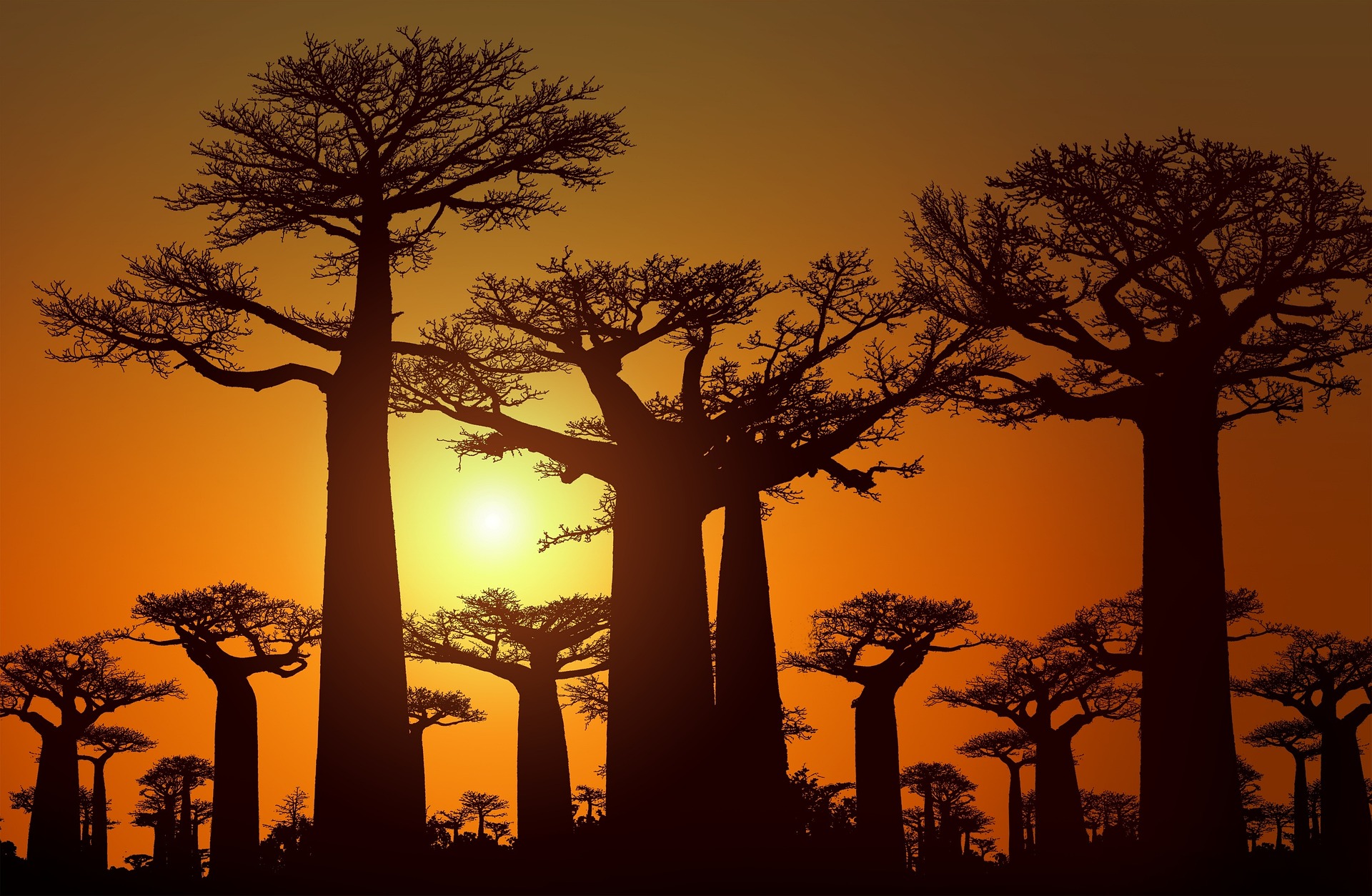 voyage-à-madagascar