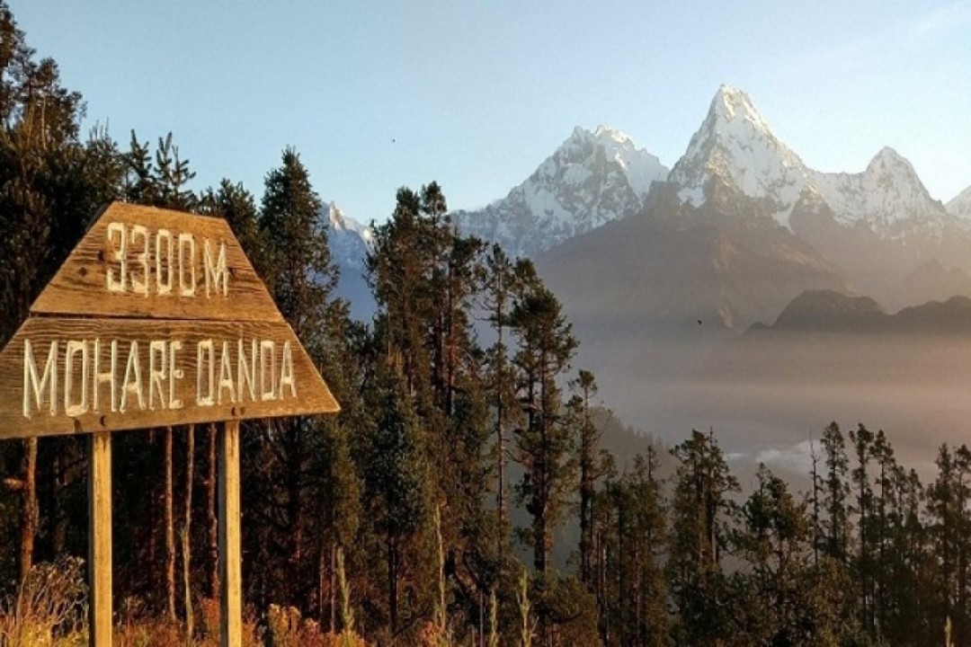 trek-au-nepal-Mohare-Danda