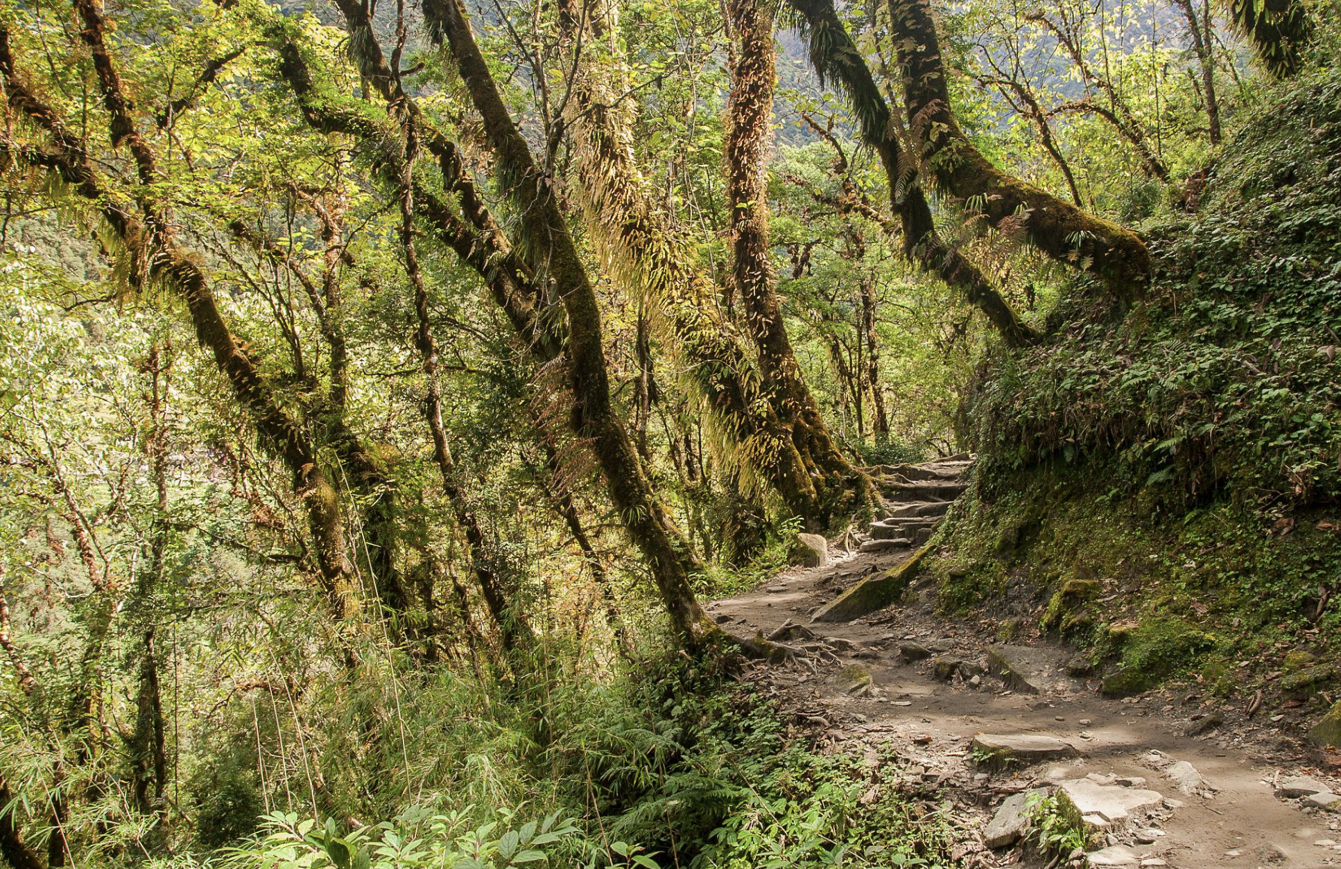 trek-au-nepal-Chuile